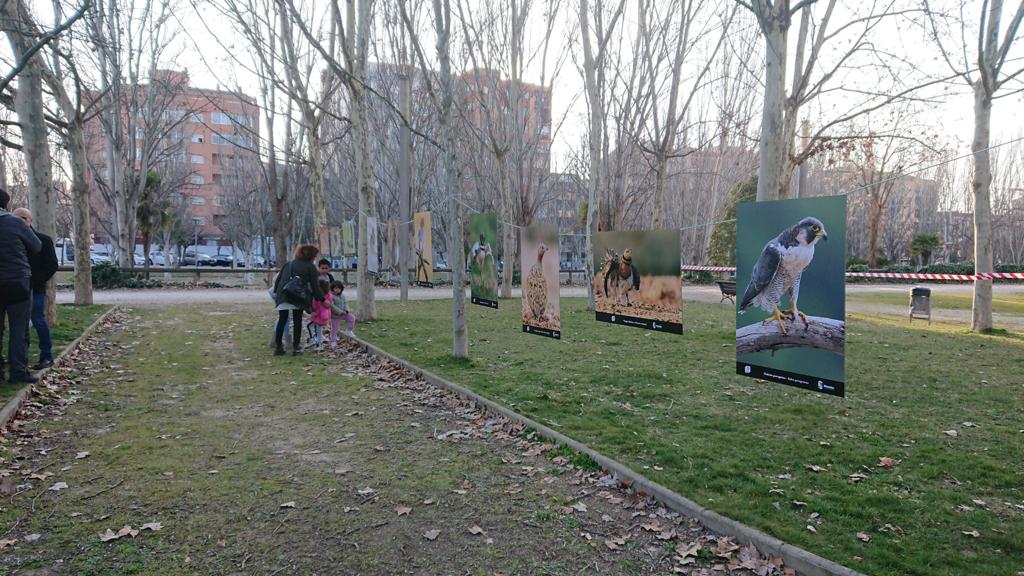 Jornada en Monzón para instalar una caja nido en la chimenea de la Azucarera