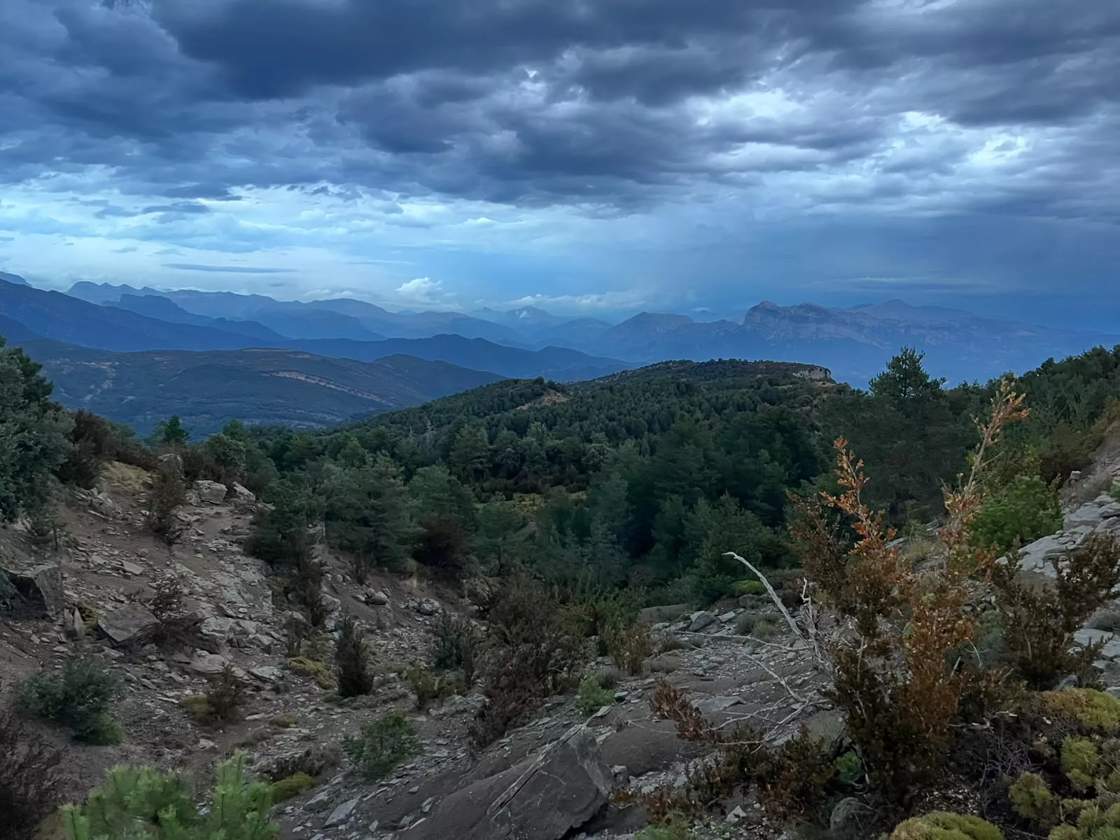 Ruta nocturna a Capramote del Club Nabaín