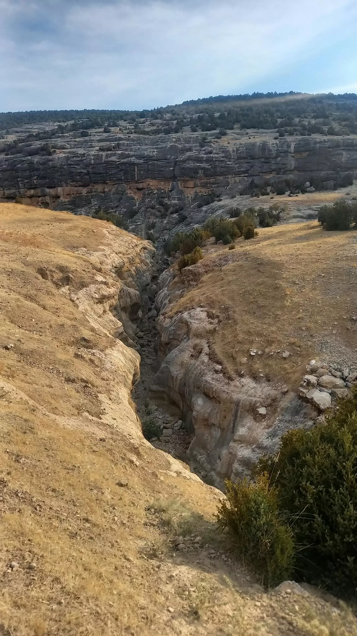 Jornada en la Cueva de Chaves para recoger los últimos restos encontrados este verano. Foto A. Mora
