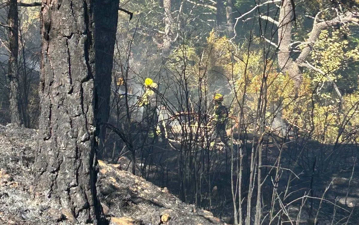 El incendio de Riglos queda controlado.