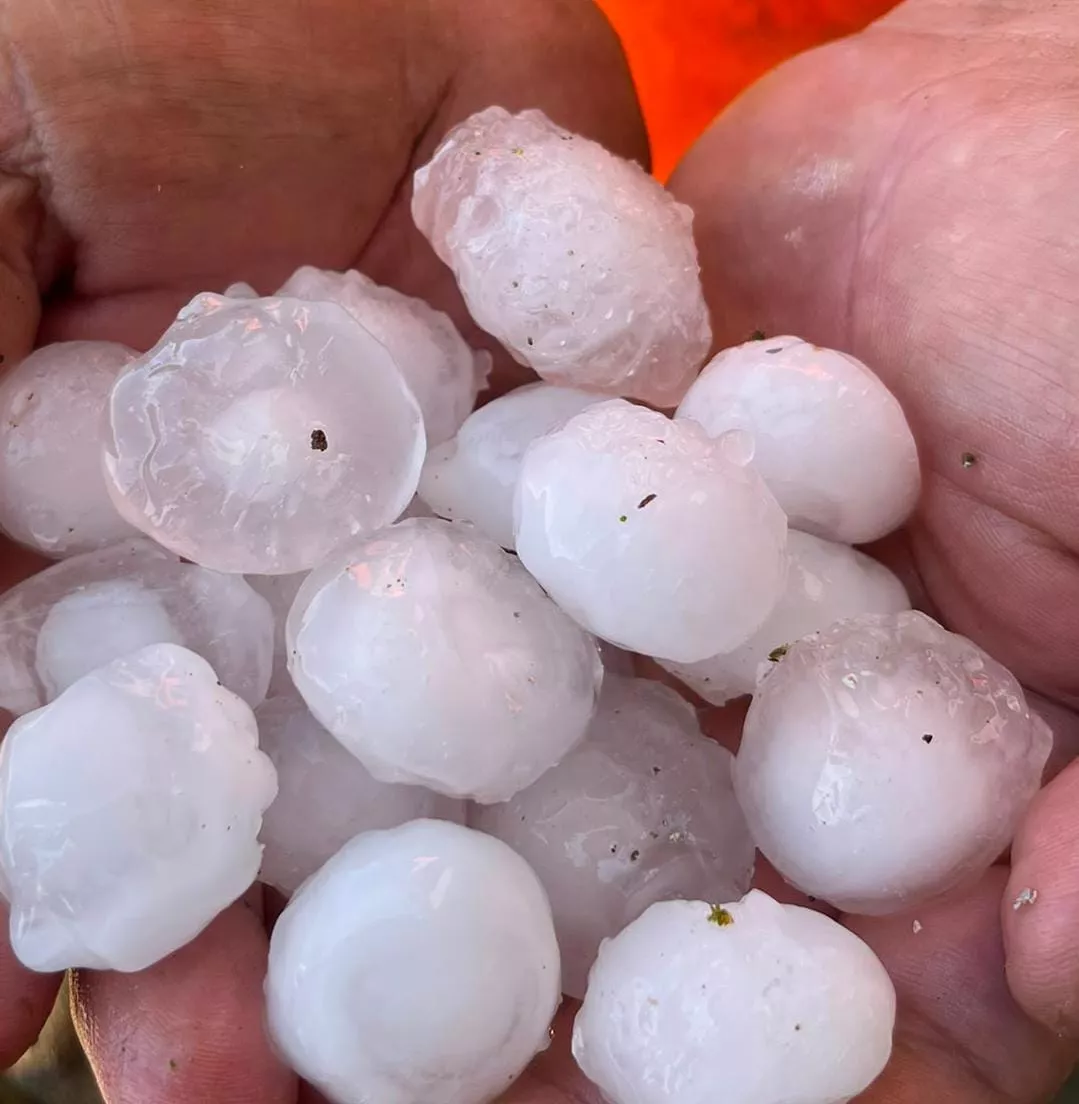 Bolas de granizo caídas en la tormenta en Montmesa. Foto Mariano Vitalla
