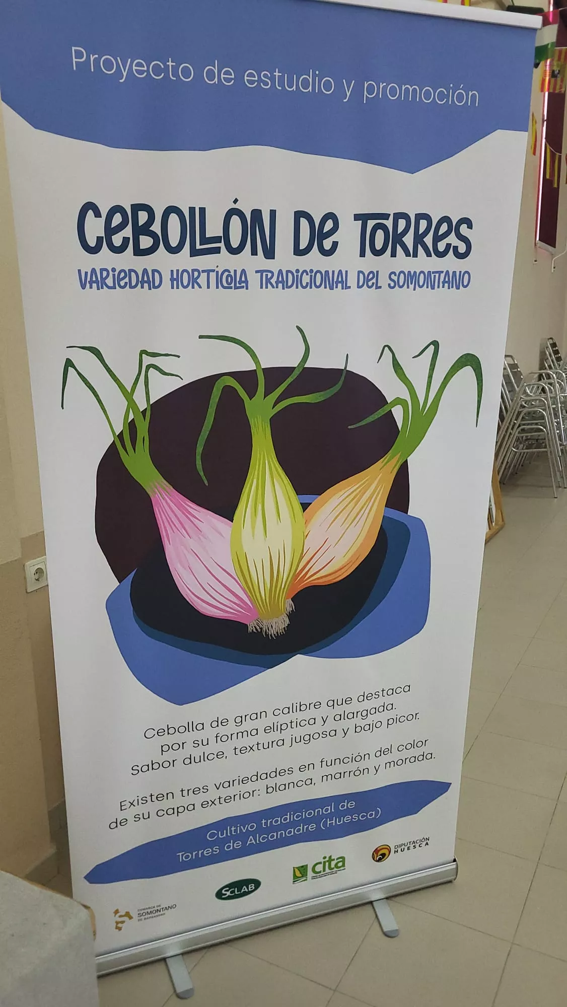 Presentación del cebollón de Torres de Alcanadre. Foto Javier García Antón