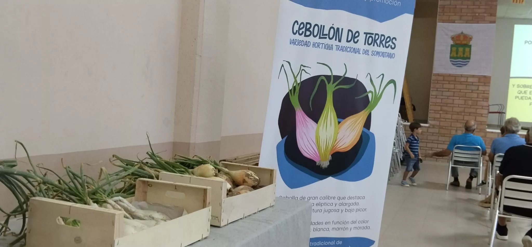 Presentación del cebollón de Torres de Alcanadre. Foto Javier García Antón