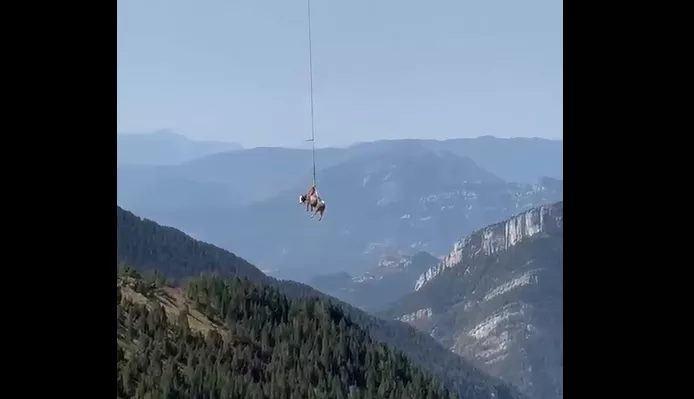 Una vaca vuela sobre el Pirineo oscense para volver a casa tras quedar atrapada en un barranco.