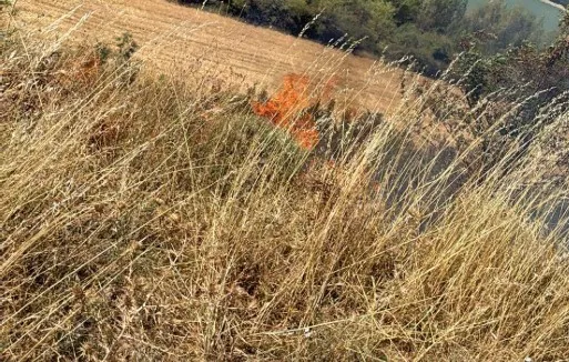 La imagen del wasap que circuló por grupos con el comienzo del incendio