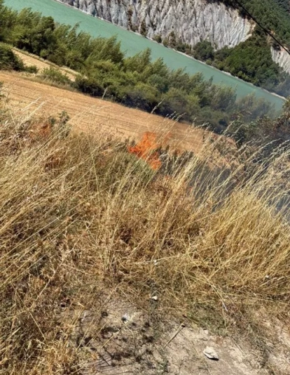 La fotografía que recorrió los grupos de Whatsapp La fotografía que recorrió los grupos de Whatsapp