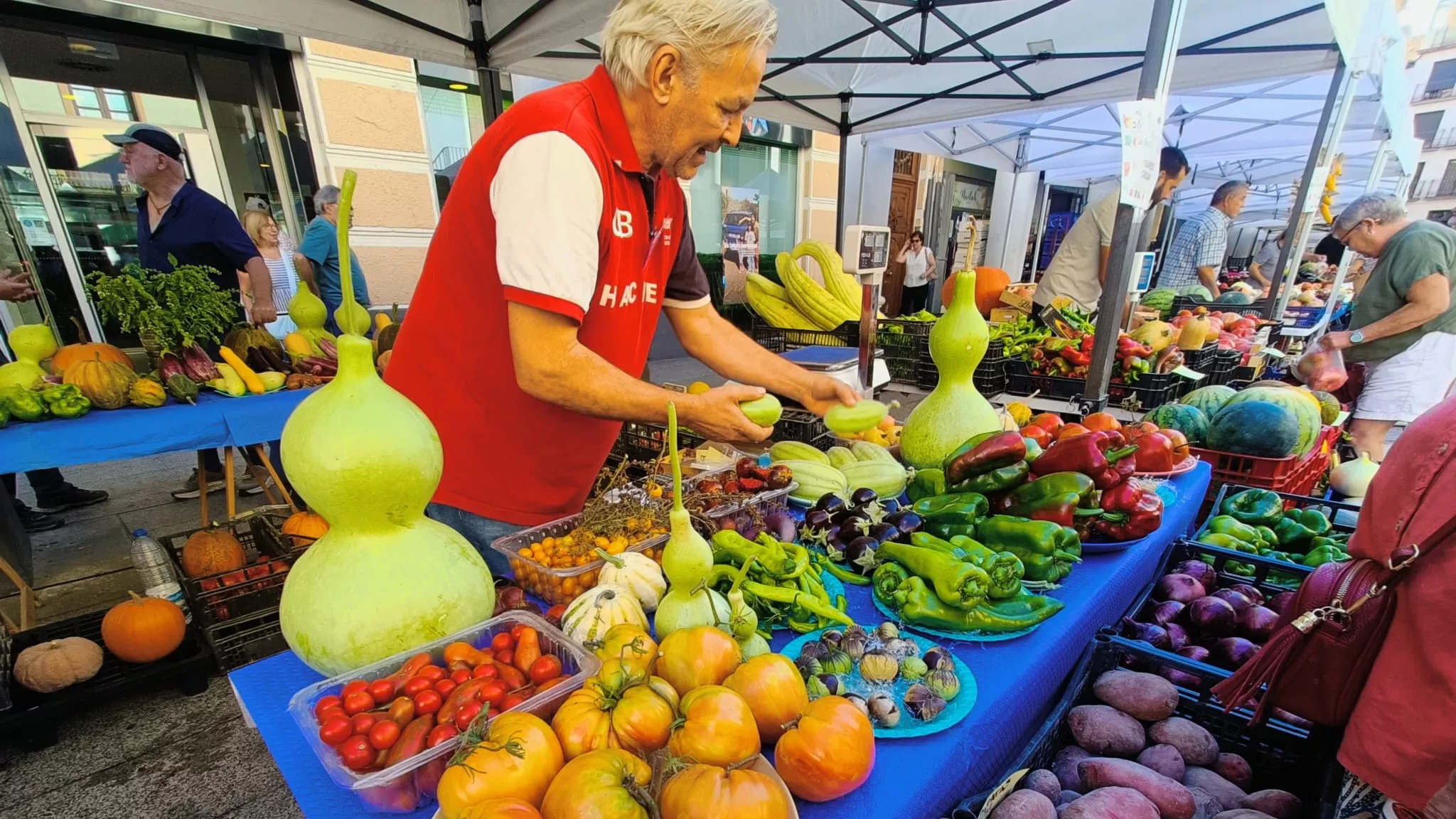 La huerta de Barbastro presume de sus mejores frutos.