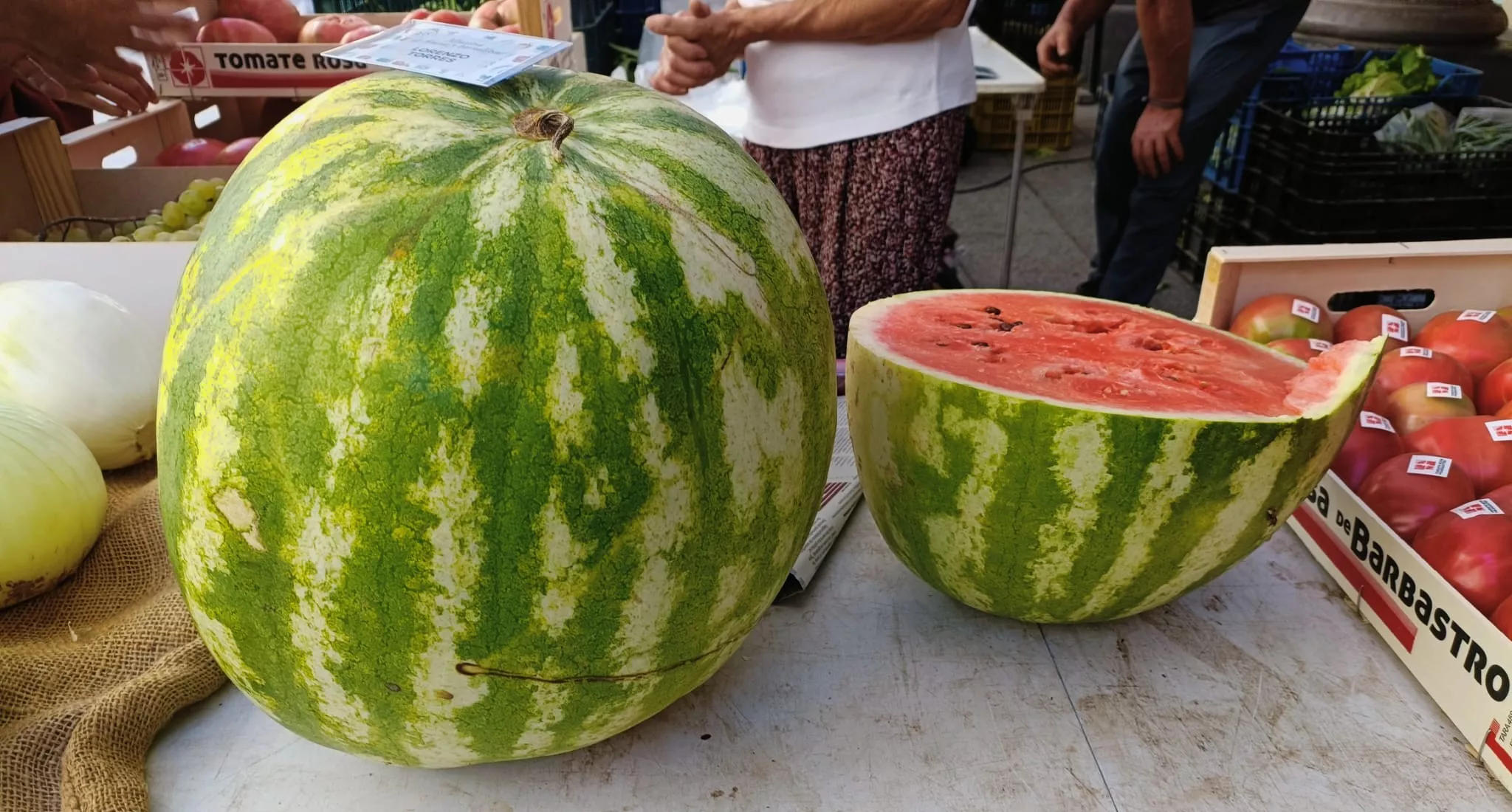  XXVI Muestra de Frutas y Hortalizas de Barbastro