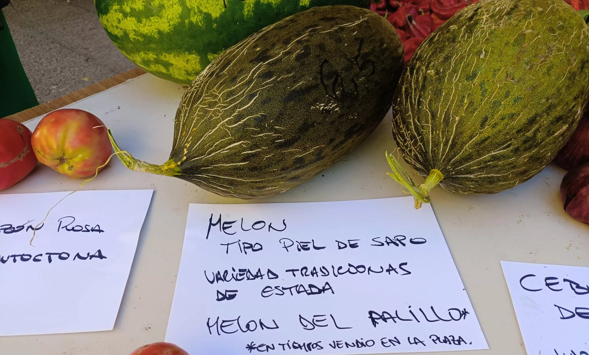  XXVI Muestra de Frutas y Hortalizas de Barbastro