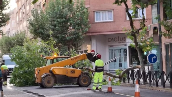 Retirando el árbol de la calzada.