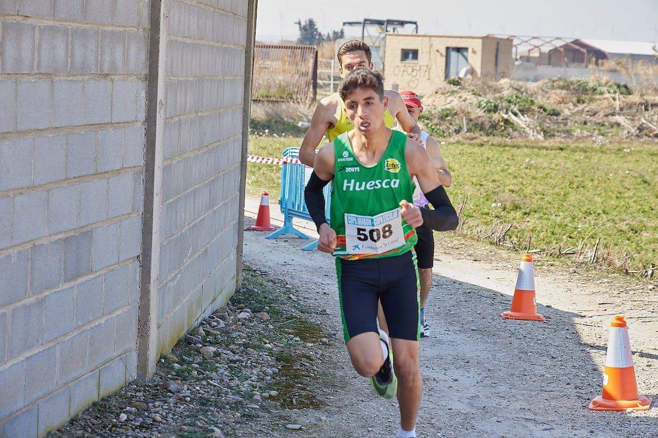 Cross de Pedrola 