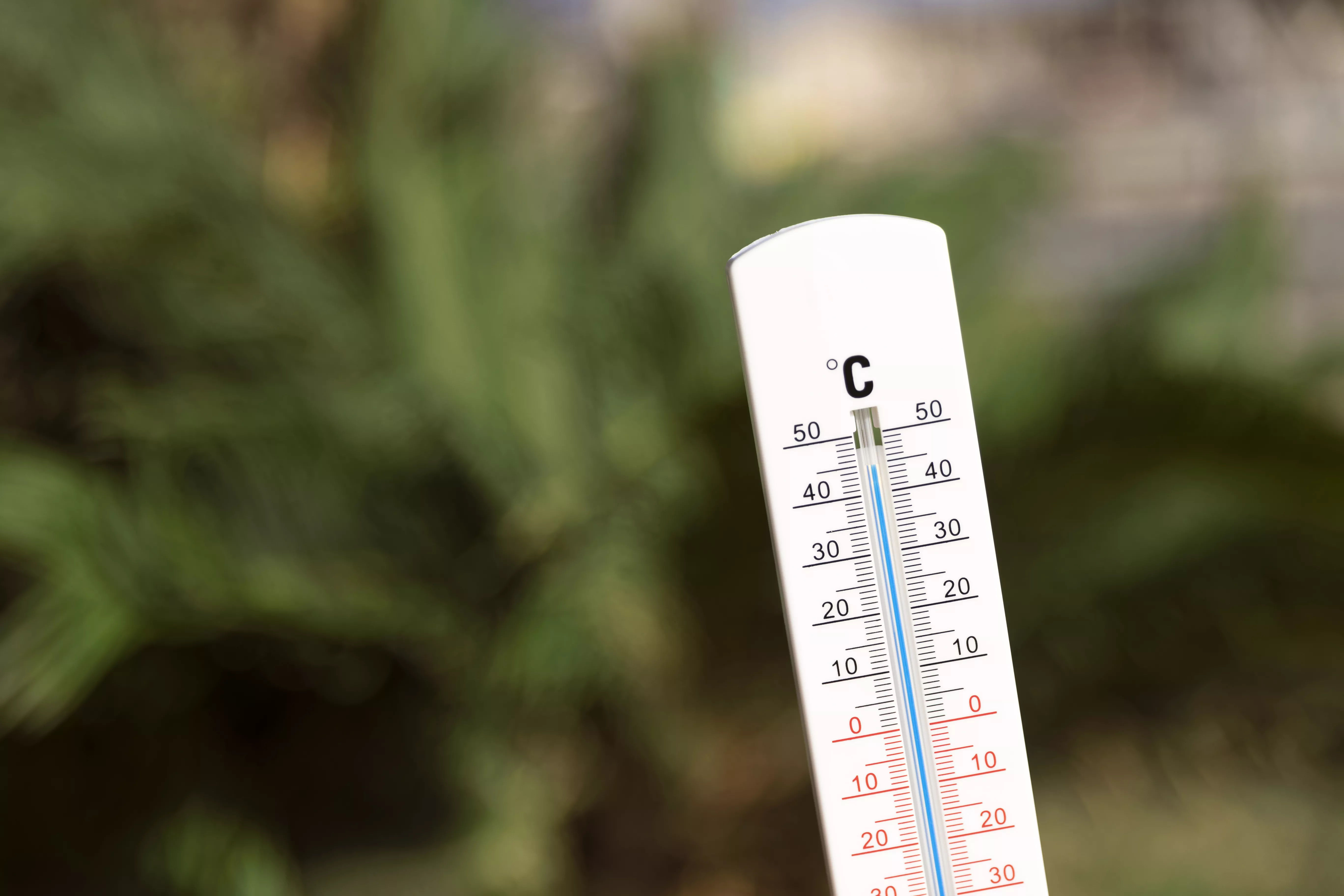 Nuevo episodio de calor con aviso naranja en toda la provincia.