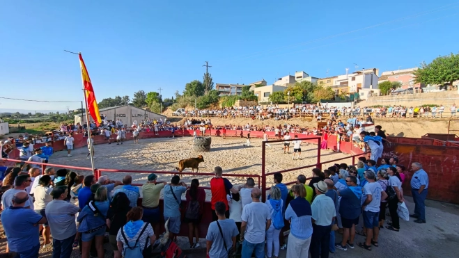 vaquillas sariñena vaquillas sariñena