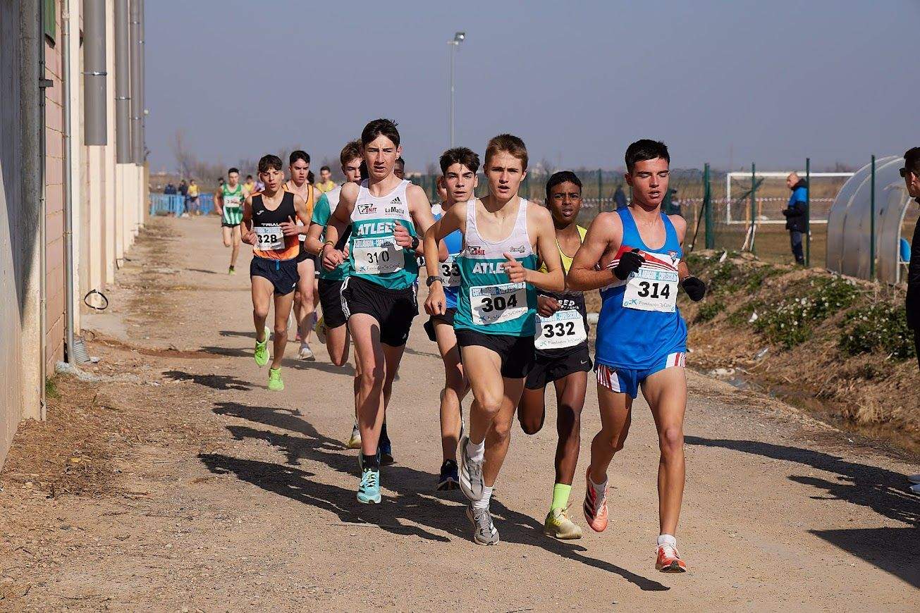 Cross de Pedrola 