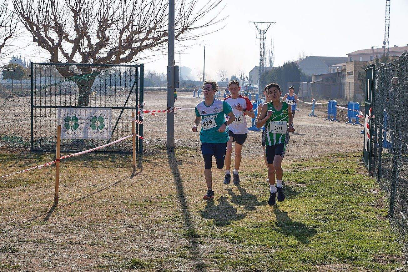 Cross de Pedrola 