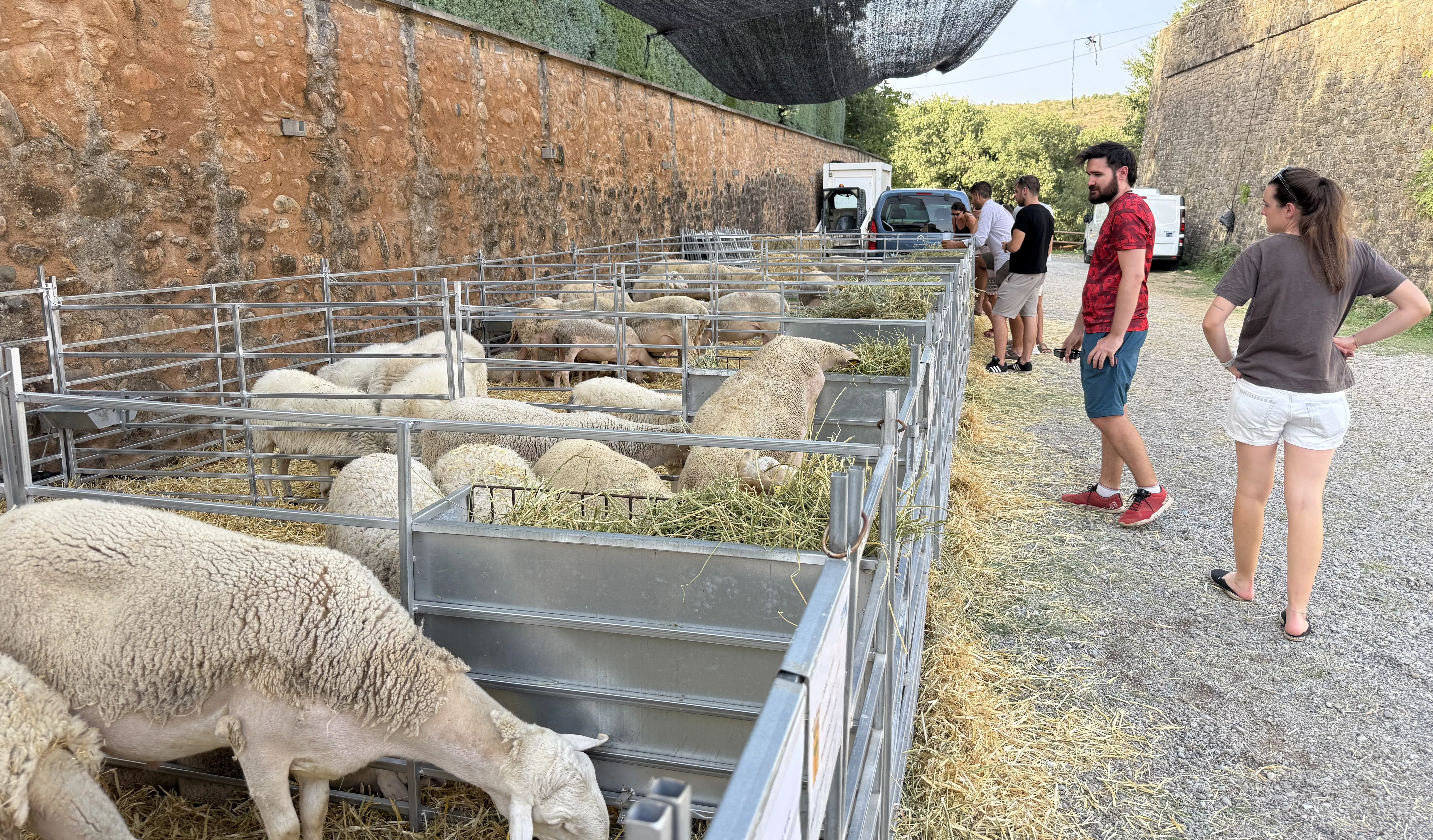 Expoferia de Sobrabre.