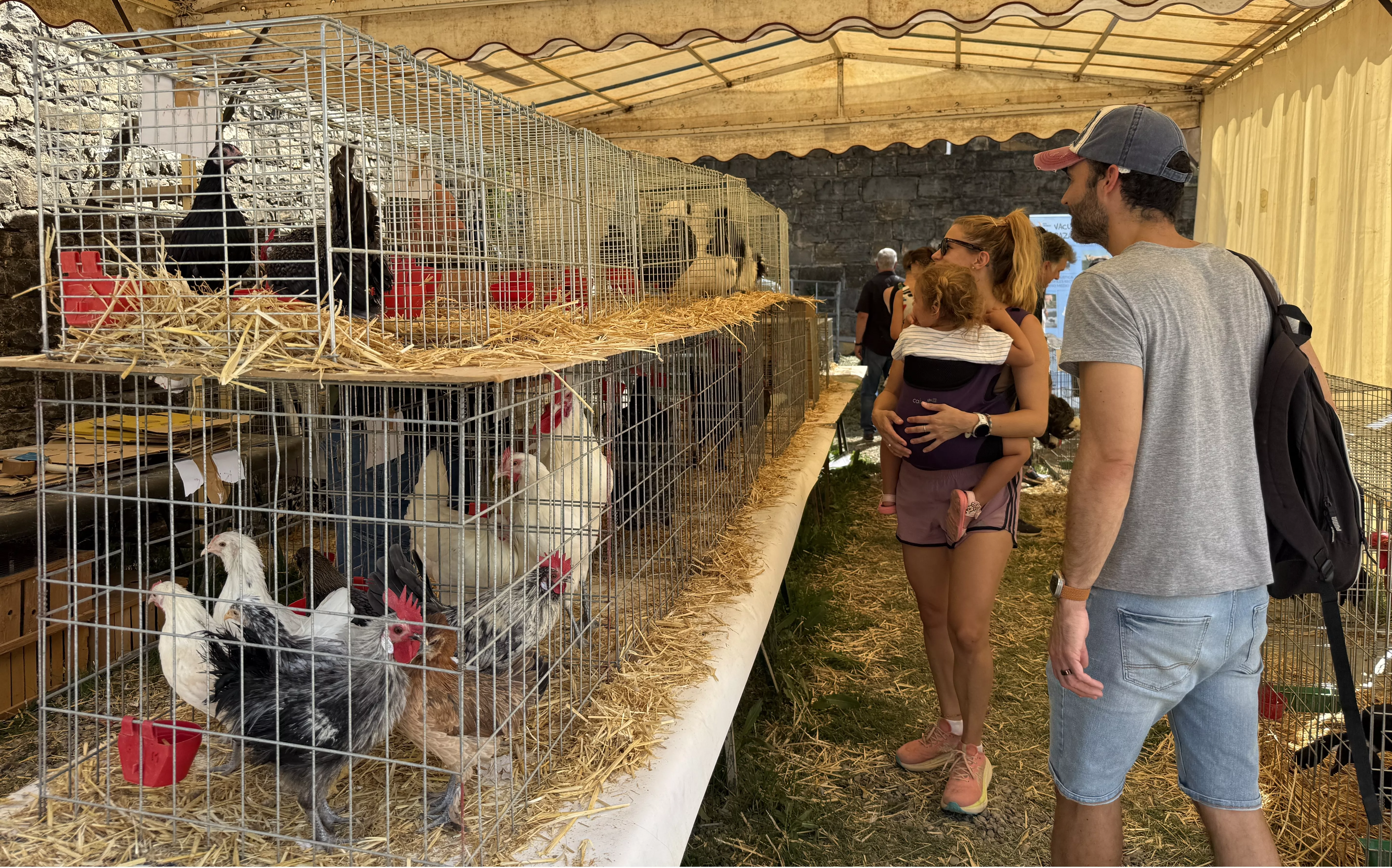 La Expoferia de Sobrarbe resiste al calor y vuelve a reunir al territorio en torno al sector primario.