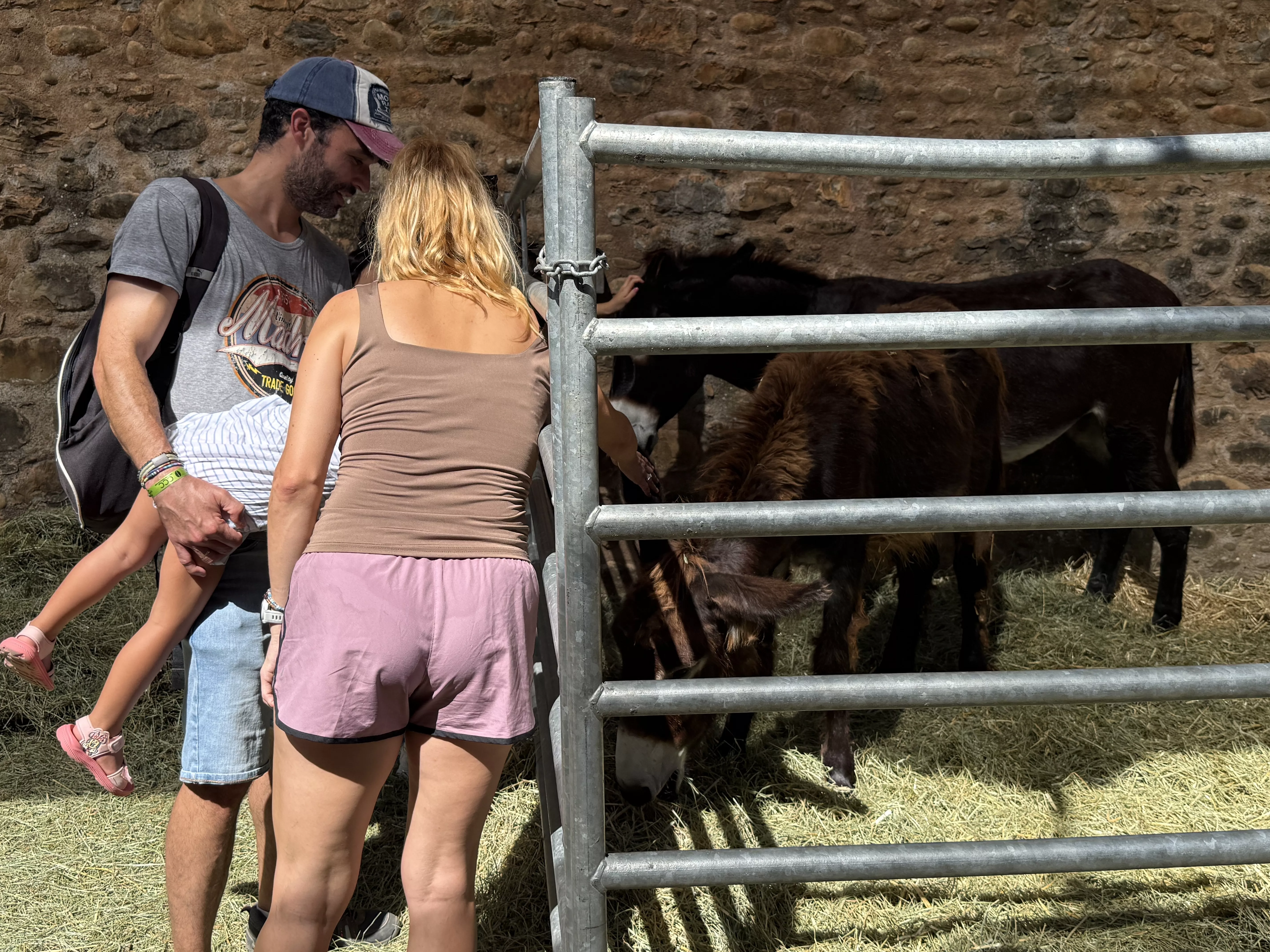Una familia se asoma al expositor de los burros.