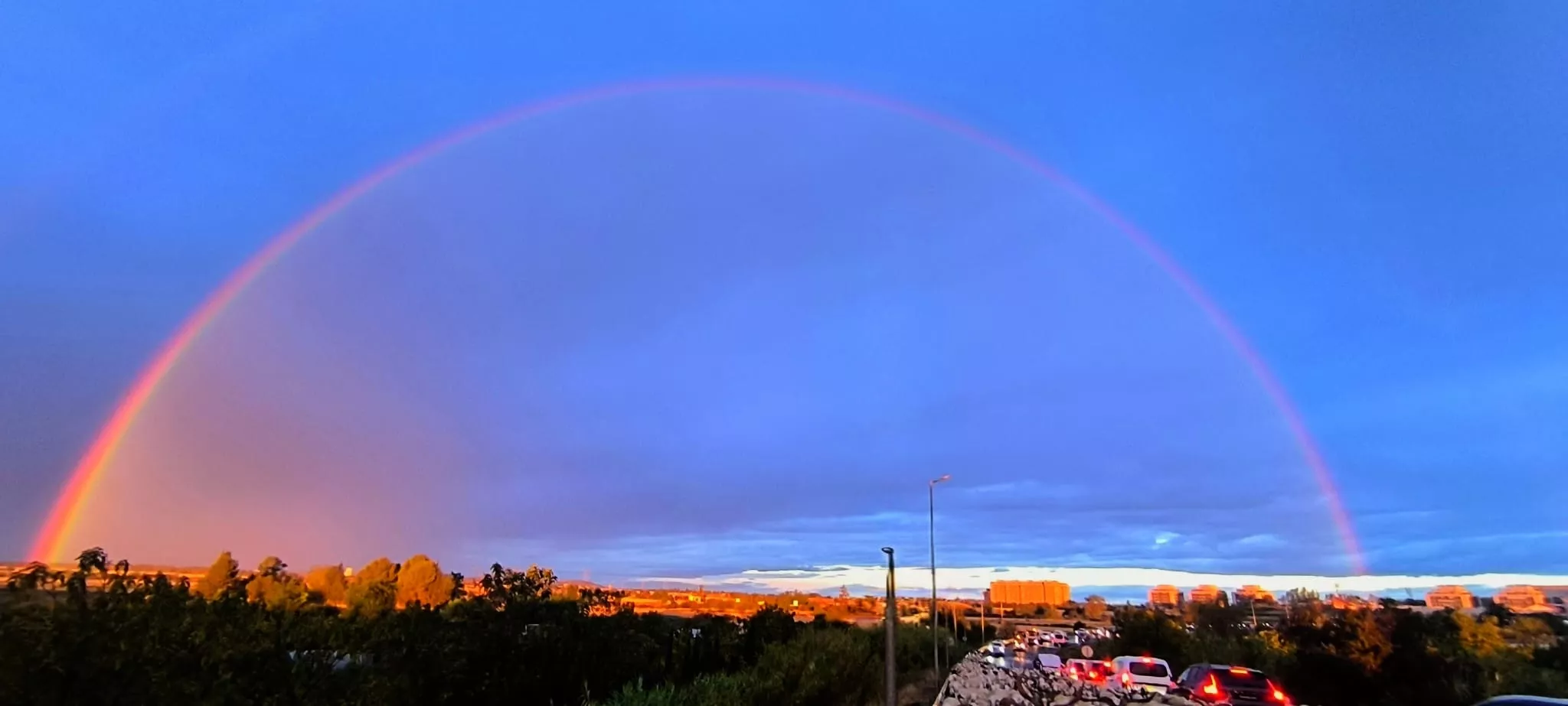 Paso por Huesca de un rebaño de 1.200 ovejas y cabras de regreso a Castelflorite por la cabañera. Foto Joaquín Santafé