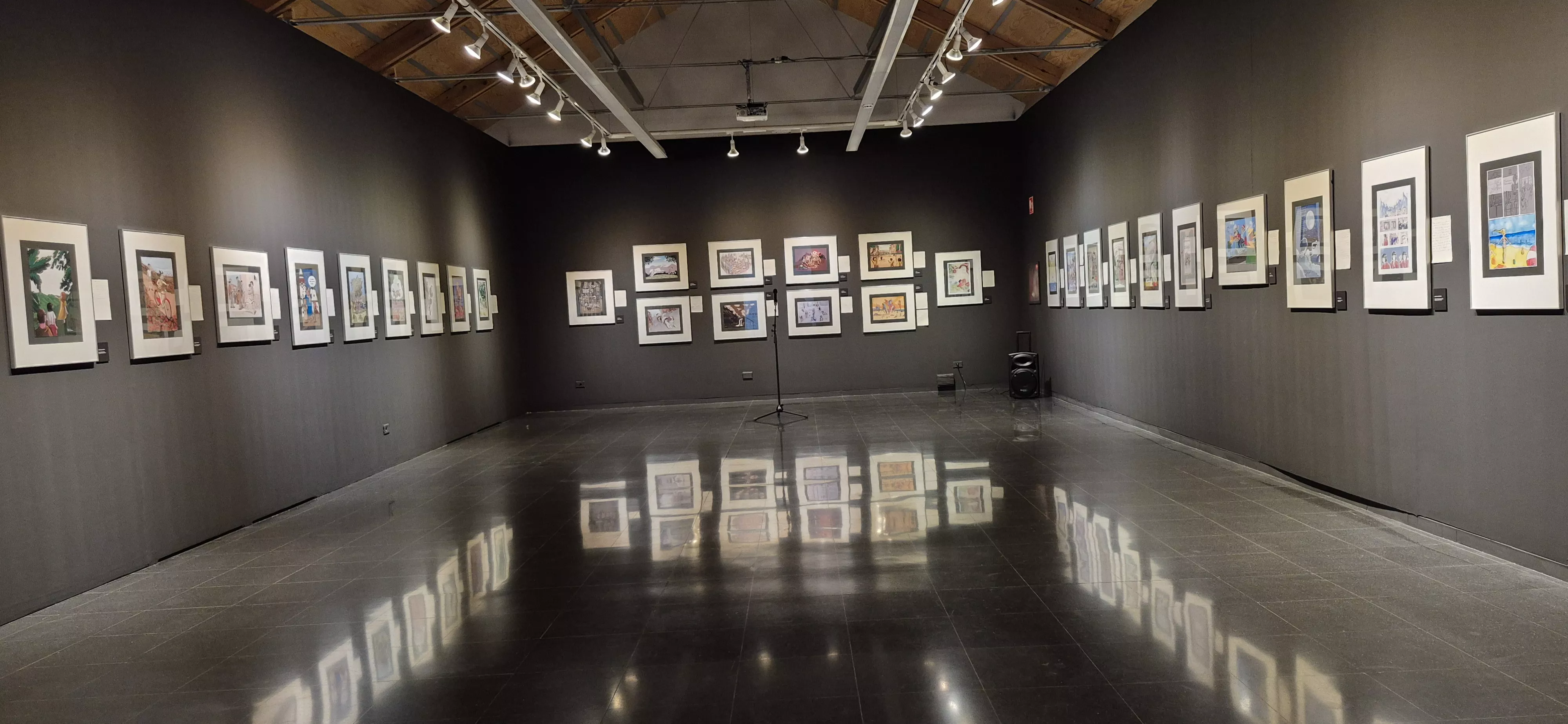 14ª edición de Huescómic. Foto Myriam Martínez