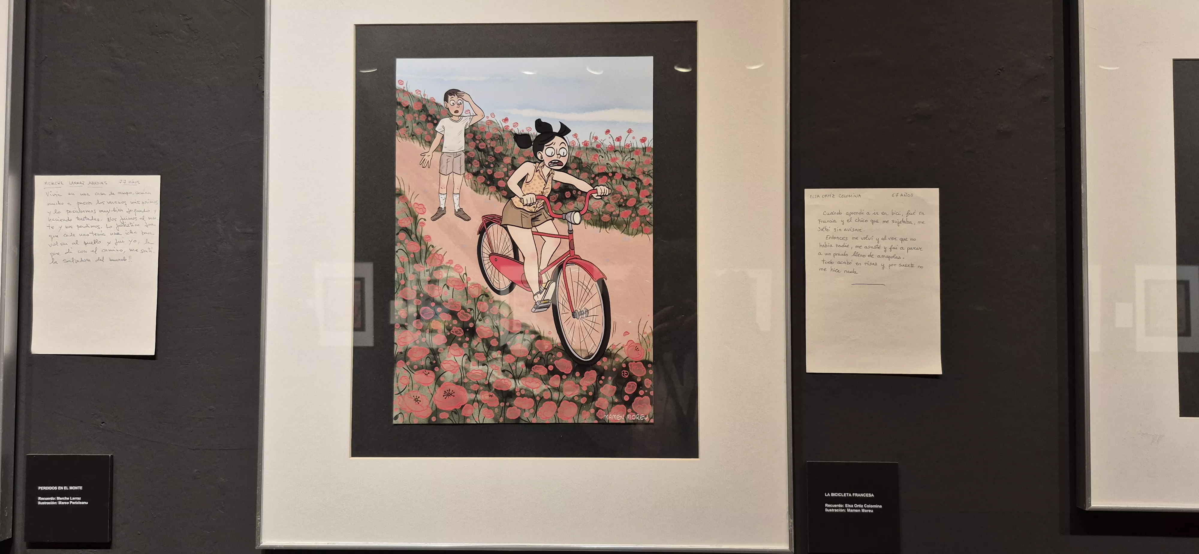 14ª edición de Huescómic. Foto Myriam Martínez