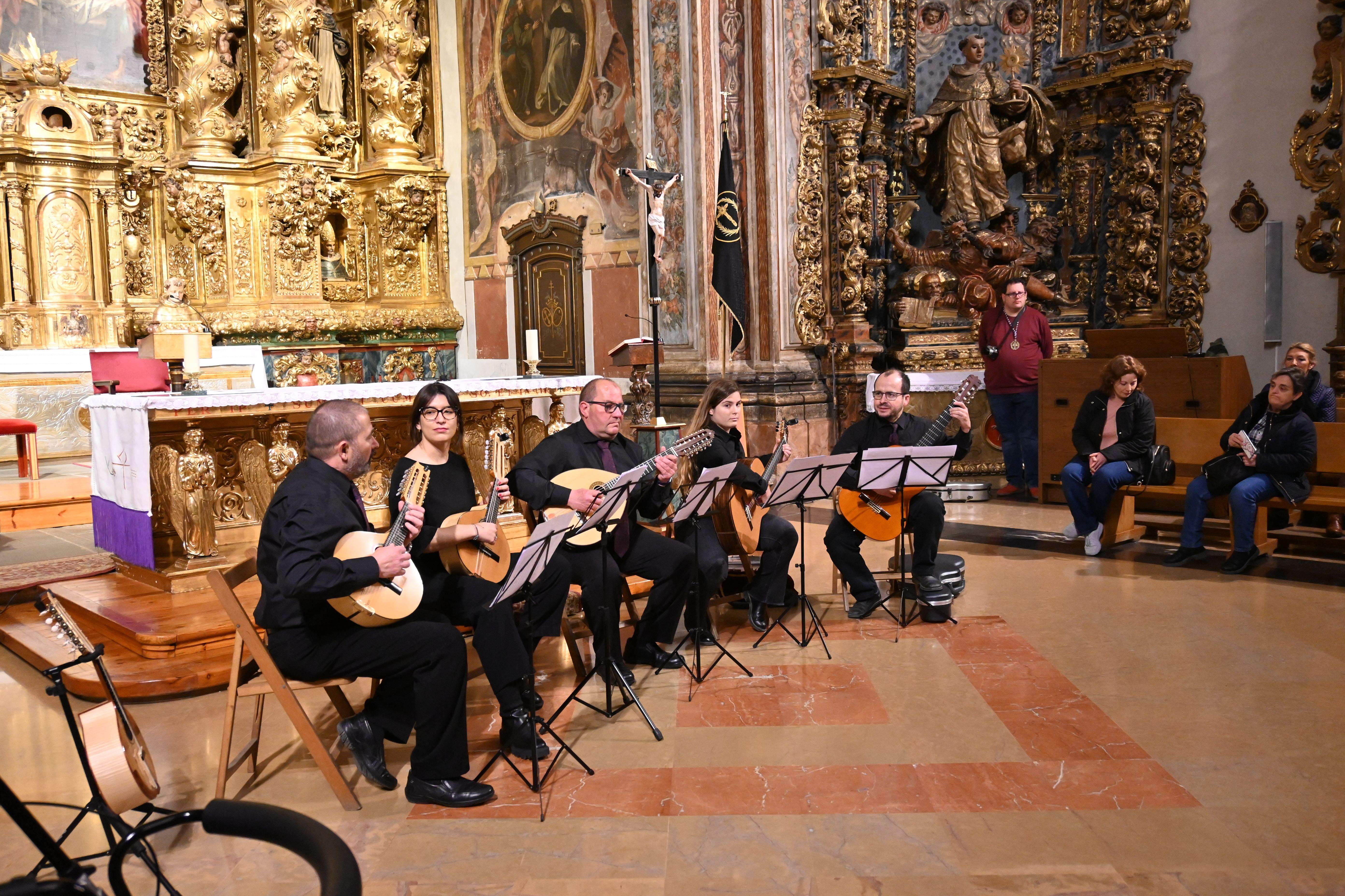 Burtinae.  Foto Carlos Jalle 