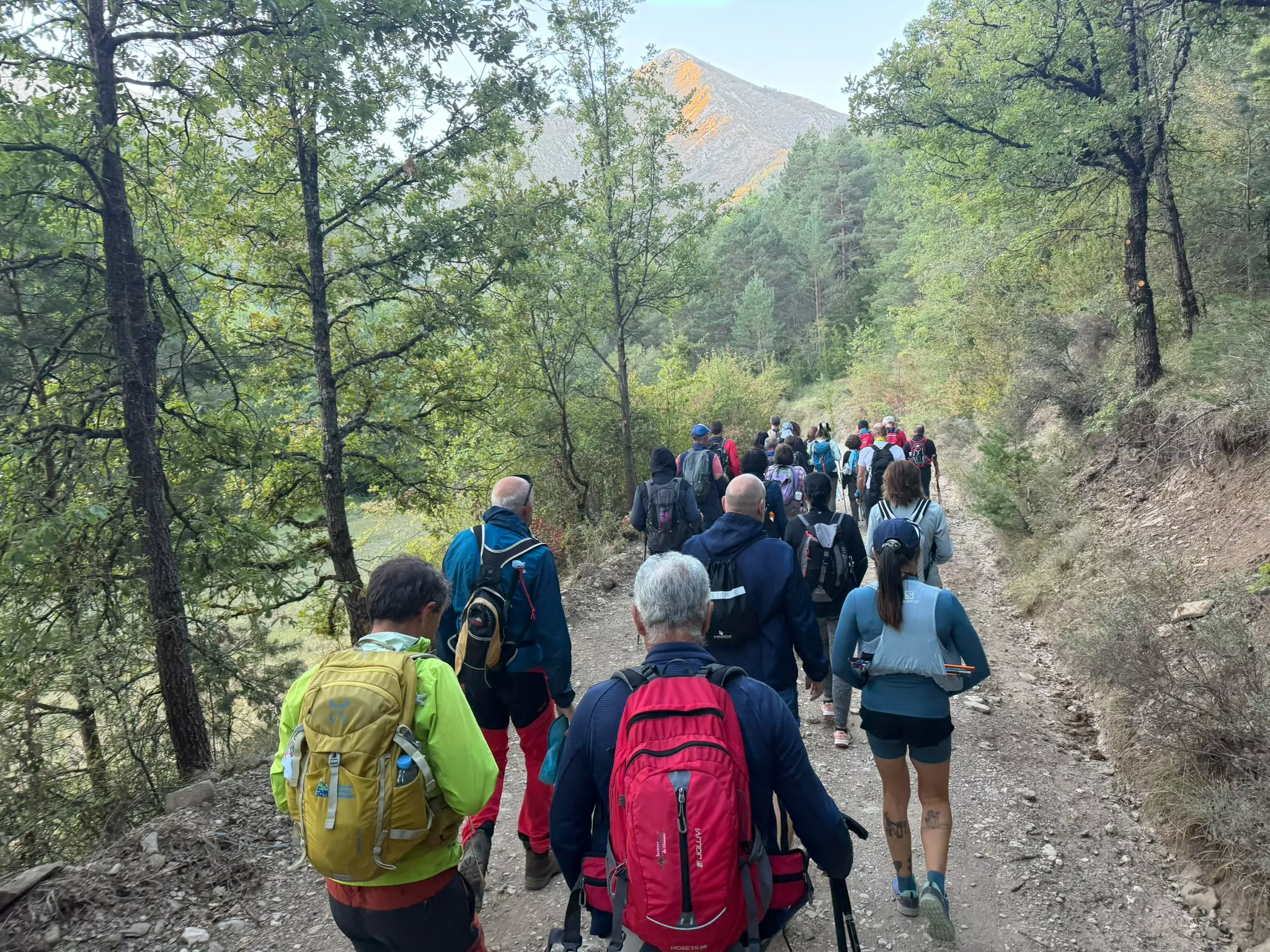 V Marcha de Nocito de los Javieres. Foto Niko Alonso