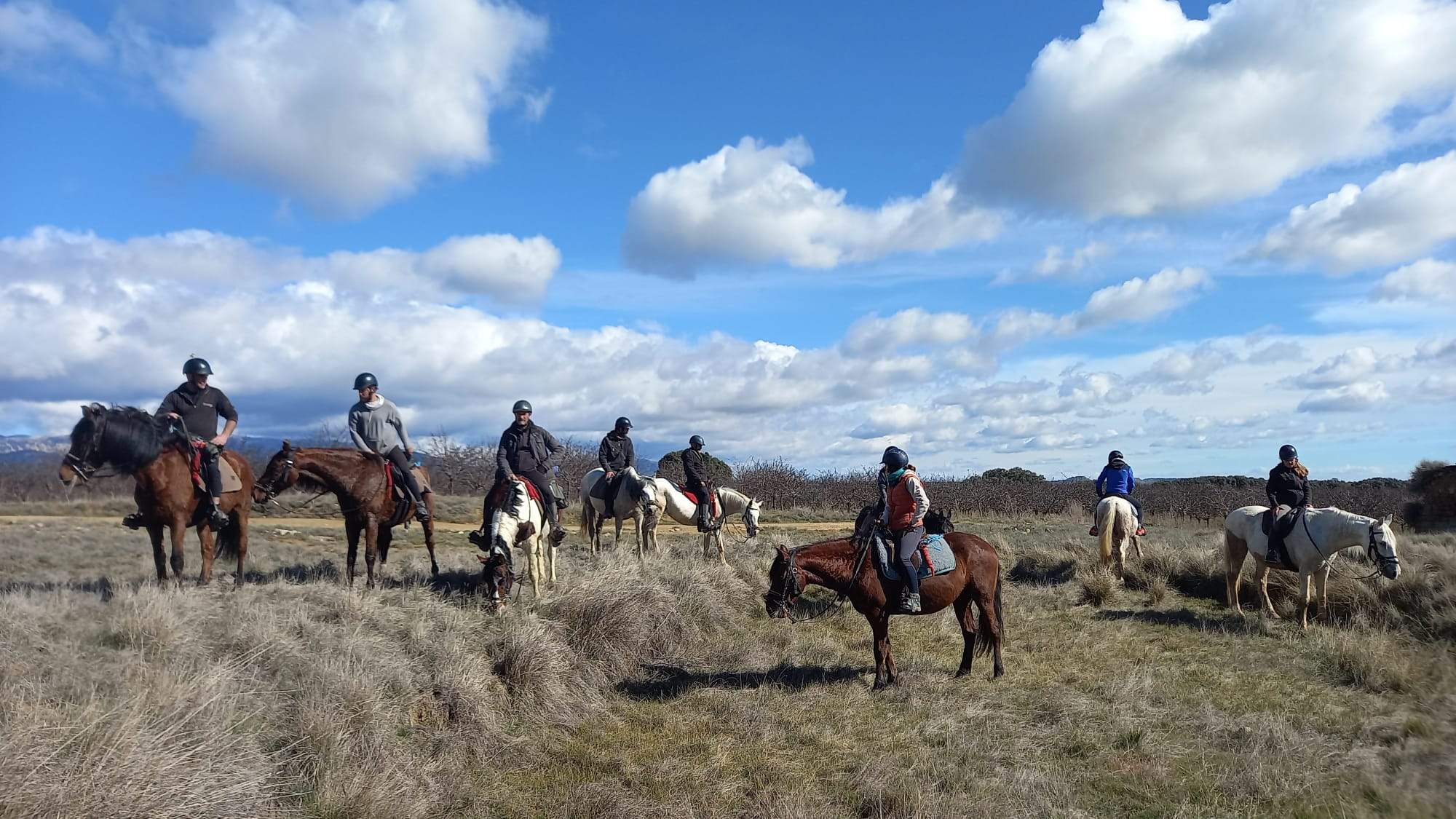 Curso de guía por itinerarios ecuestres en Huesca