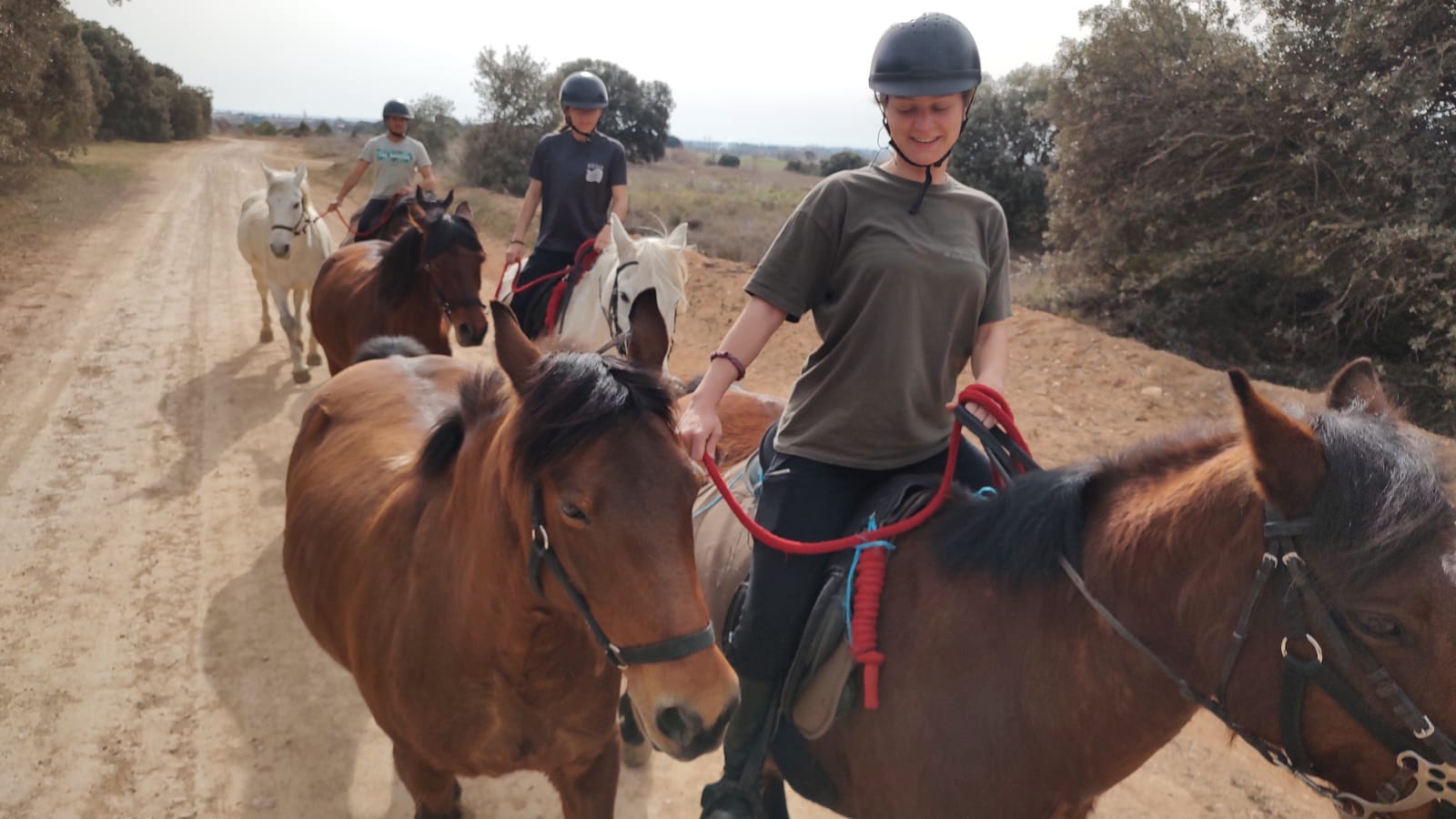 Curso de guía por itinerarios ecuestres en Huesca