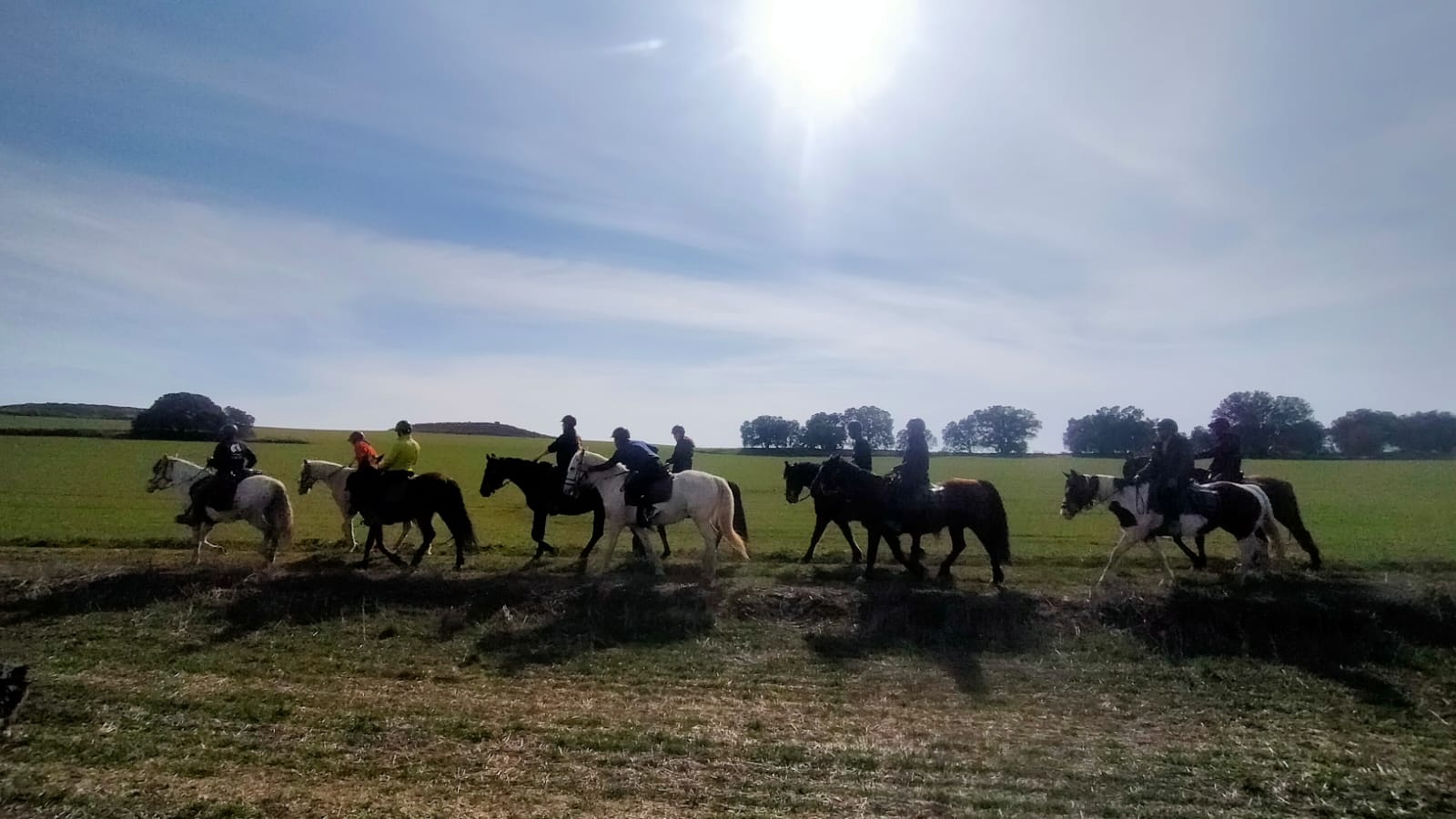 Curso de guía por itinerarios ecuestres en Huesca