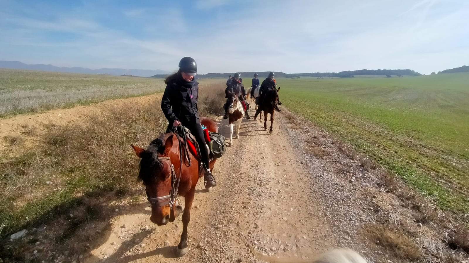Curso de guía por itinerarios ecuestres en Huesca