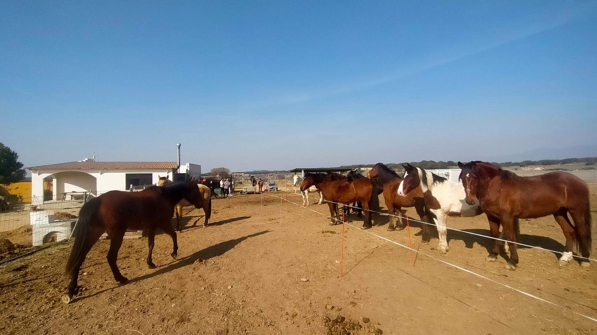 Curso de guía por itinerarios ecuestres en Huesca