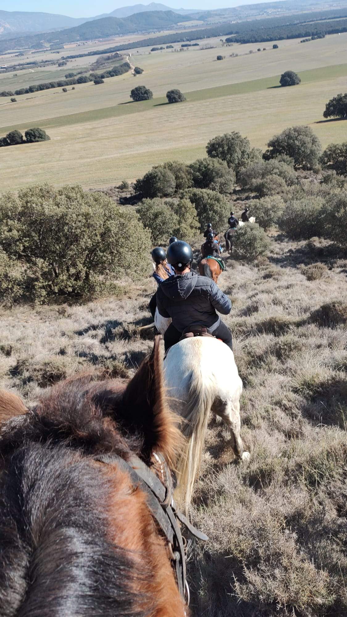 Curso de guía por itinerarios ecuestres en Huesca