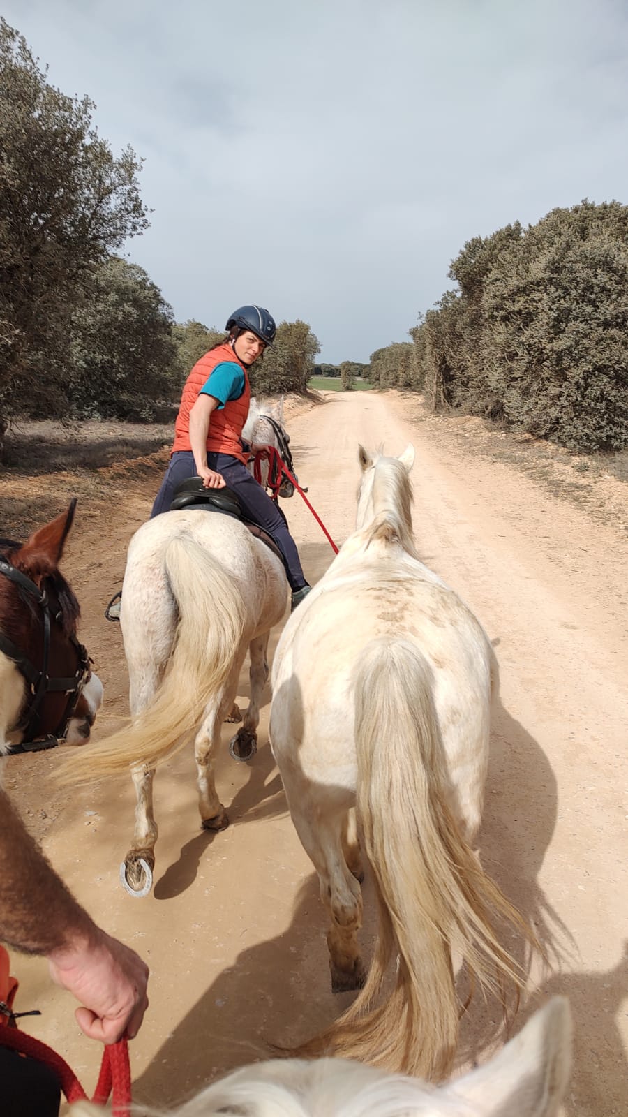 Curso de guía por itinerarios ecuestres en Huesca
