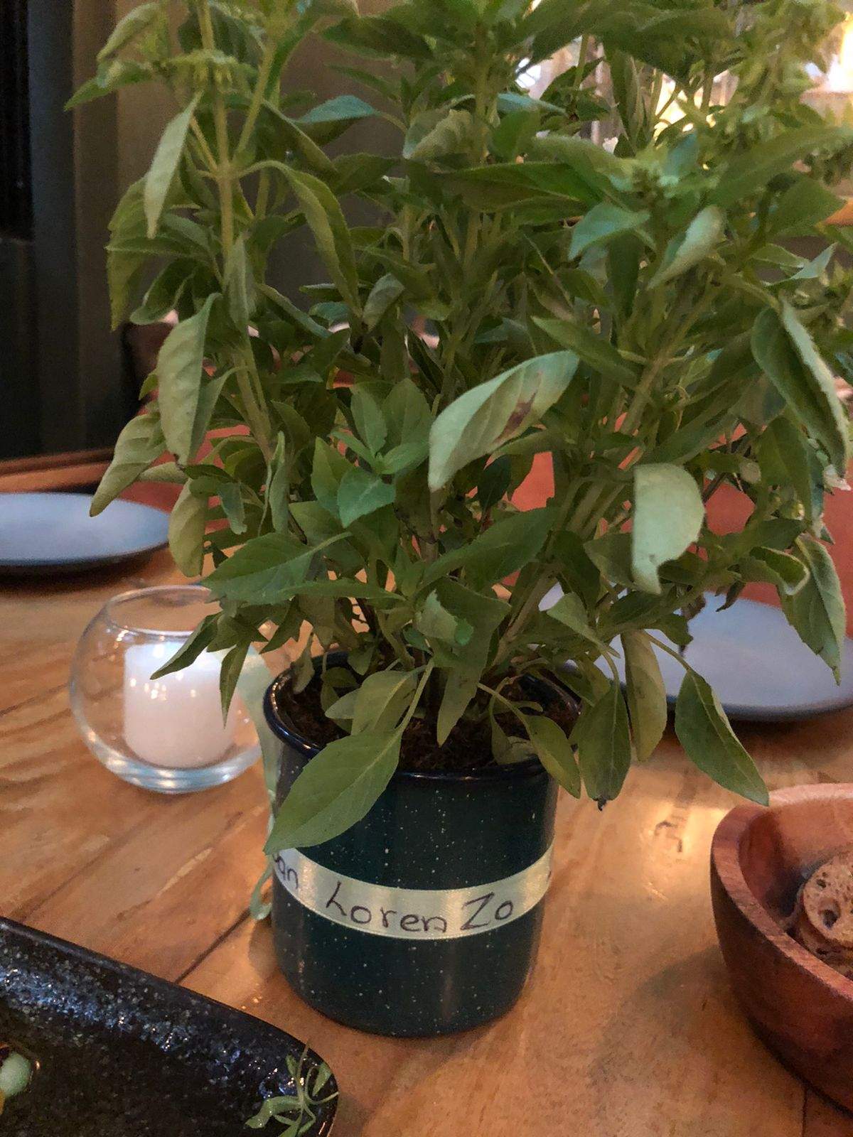 Fiestas de San Lorenzo en México