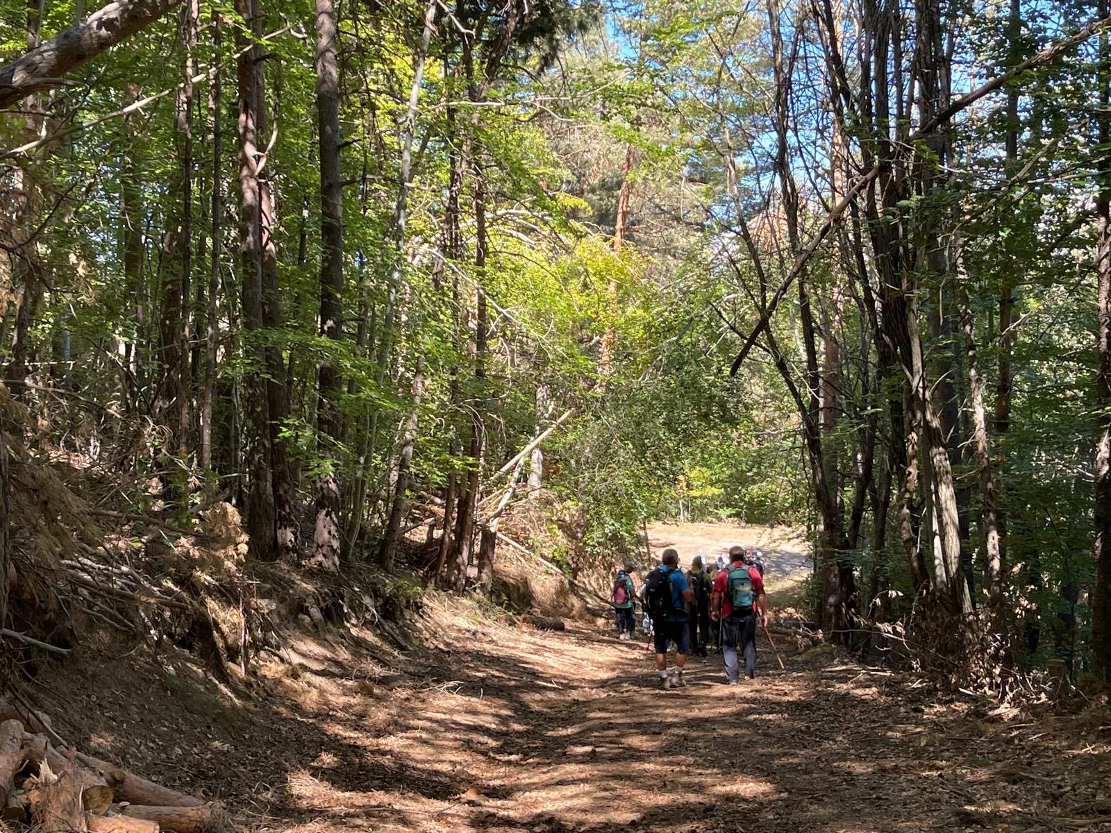 Rutas de la Provincia "Caminando sobre el congosto de Obarra"