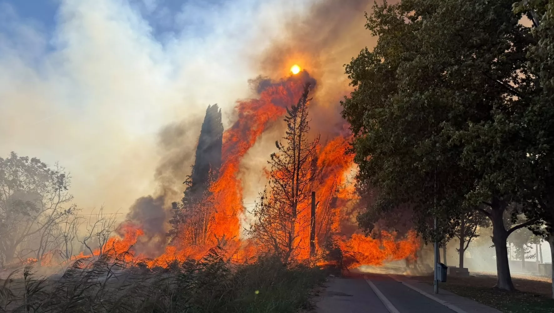 Incendio en una huerta en Fraga