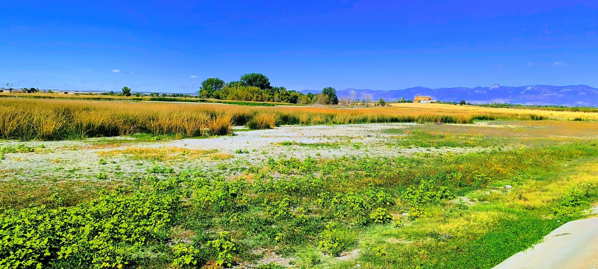 Alberca de Loreto. Foto Joaquín Santafé
