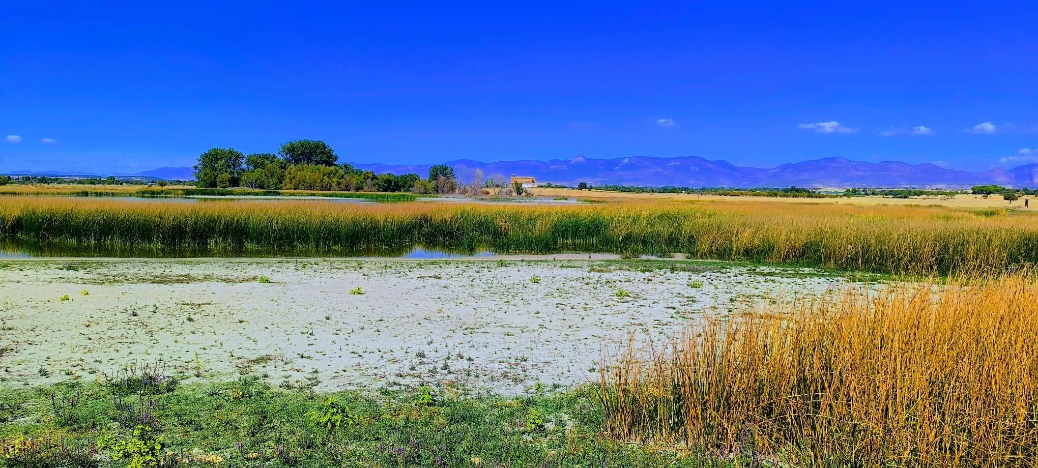 Alberca de Loreto. Foto Joaquín Santafé