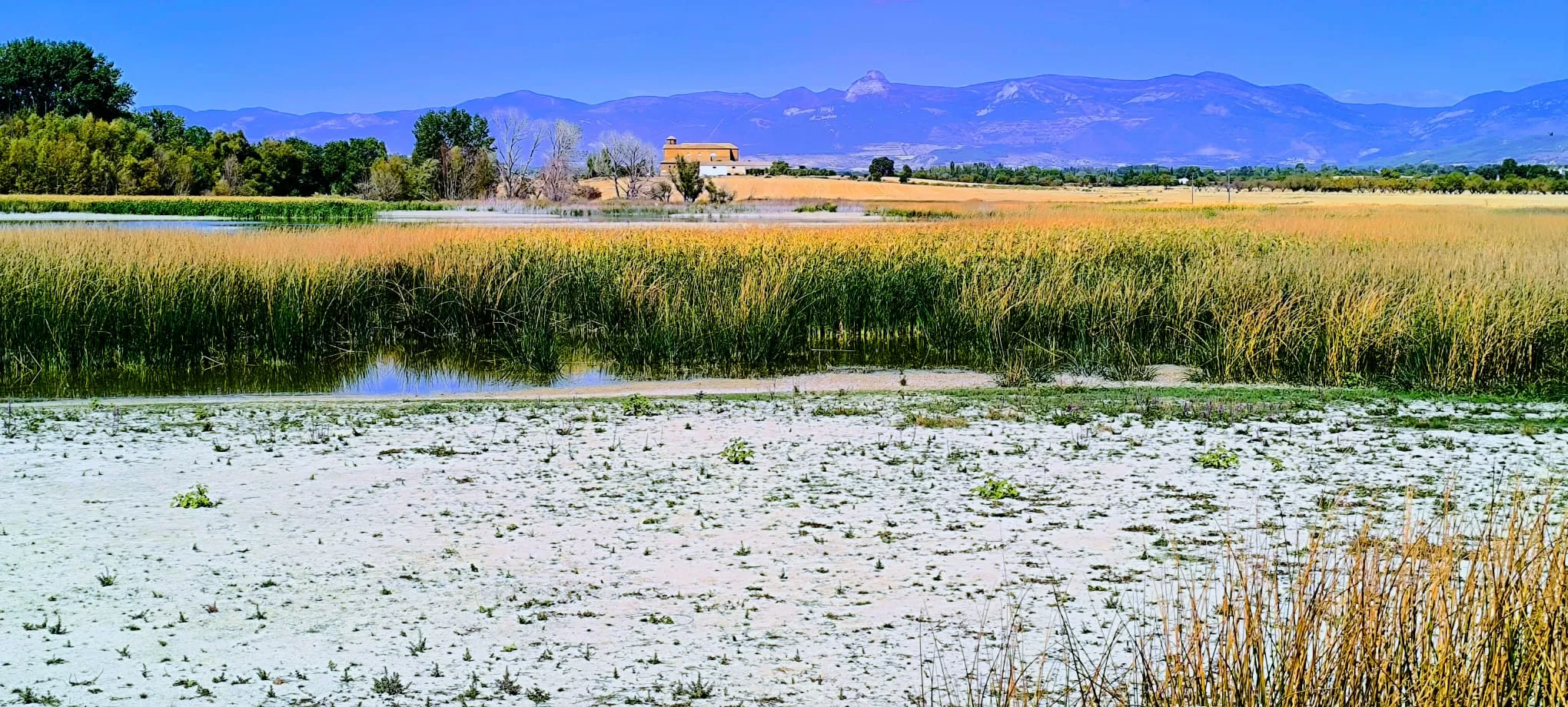 Alberca de Loreto. Foto Joaquín Santafé