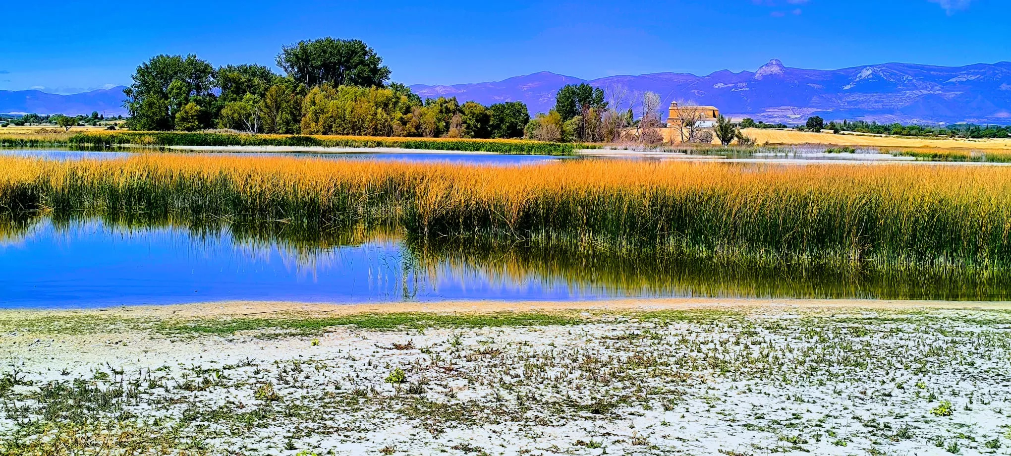 Alberca de Loreto. Foto Joaquín Santafé