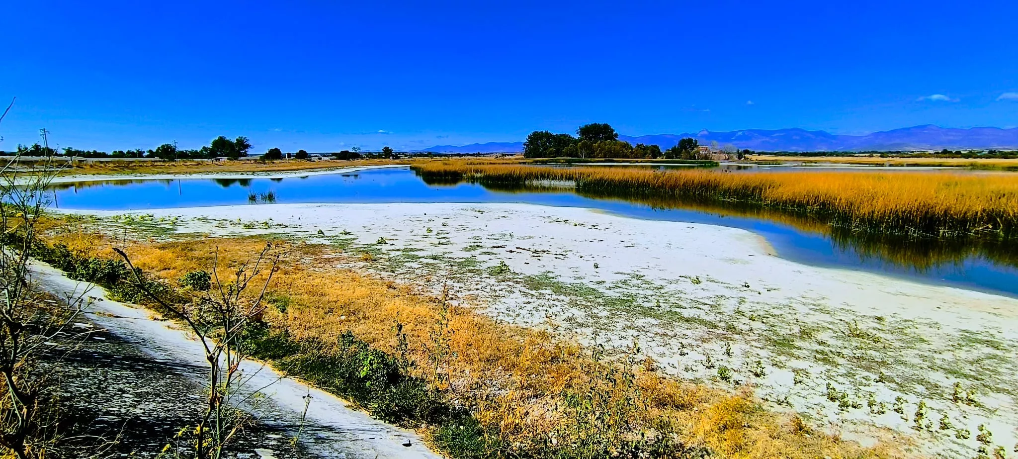 Alberca de Loreto. Foto Joaquín Santafé