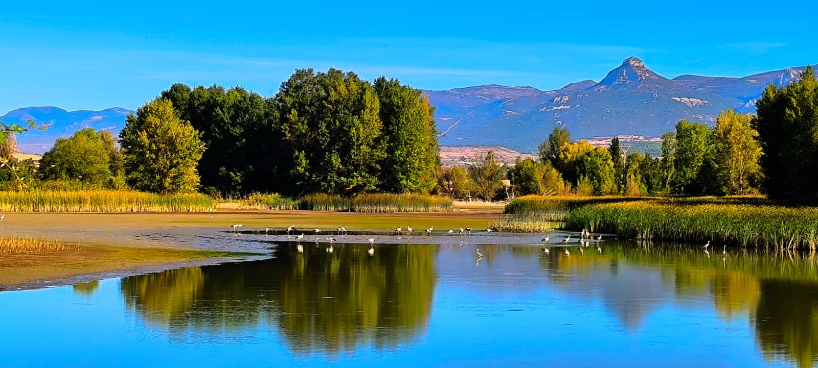 Alberca de Cortés. Foto Joaquín Santafé