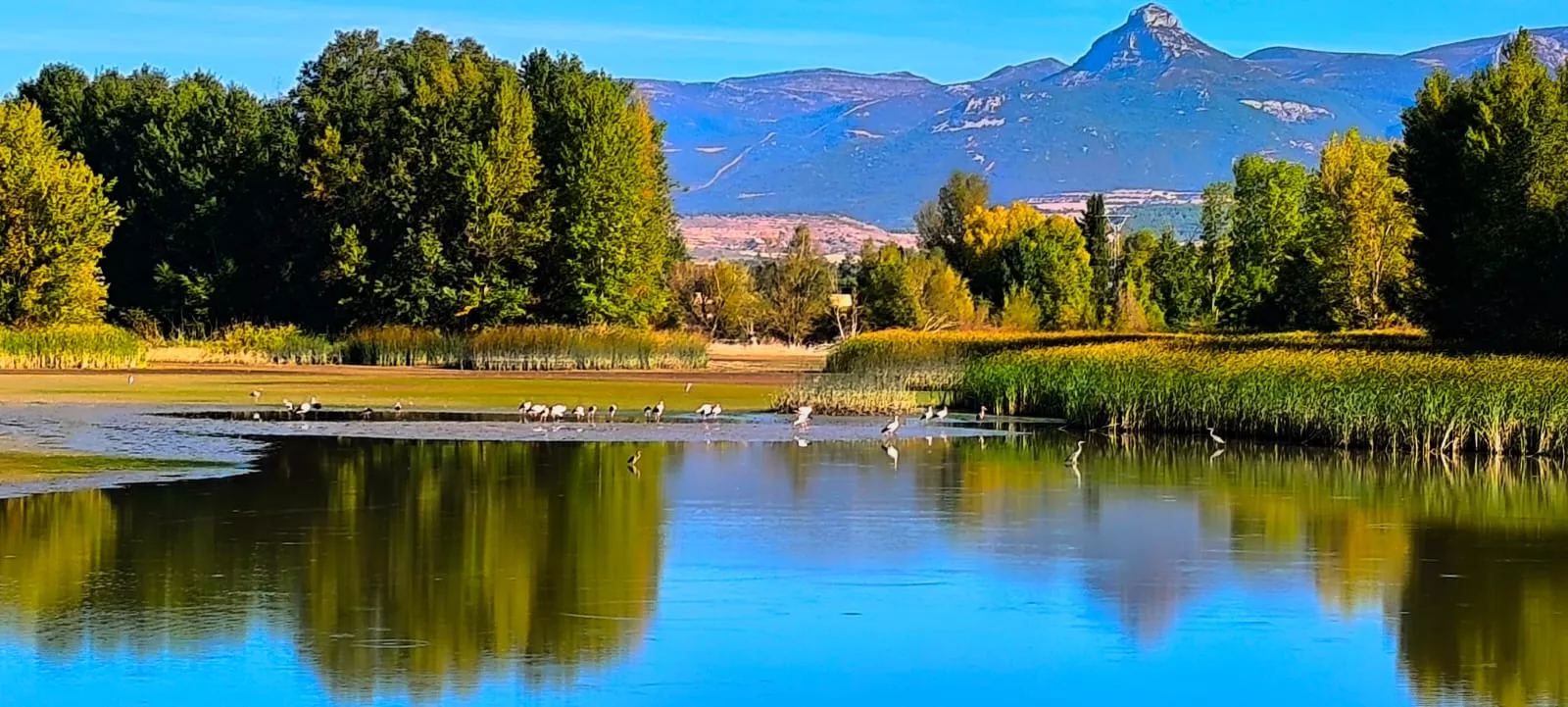 Alberca de Cortés. Foto Joaquín Santafé