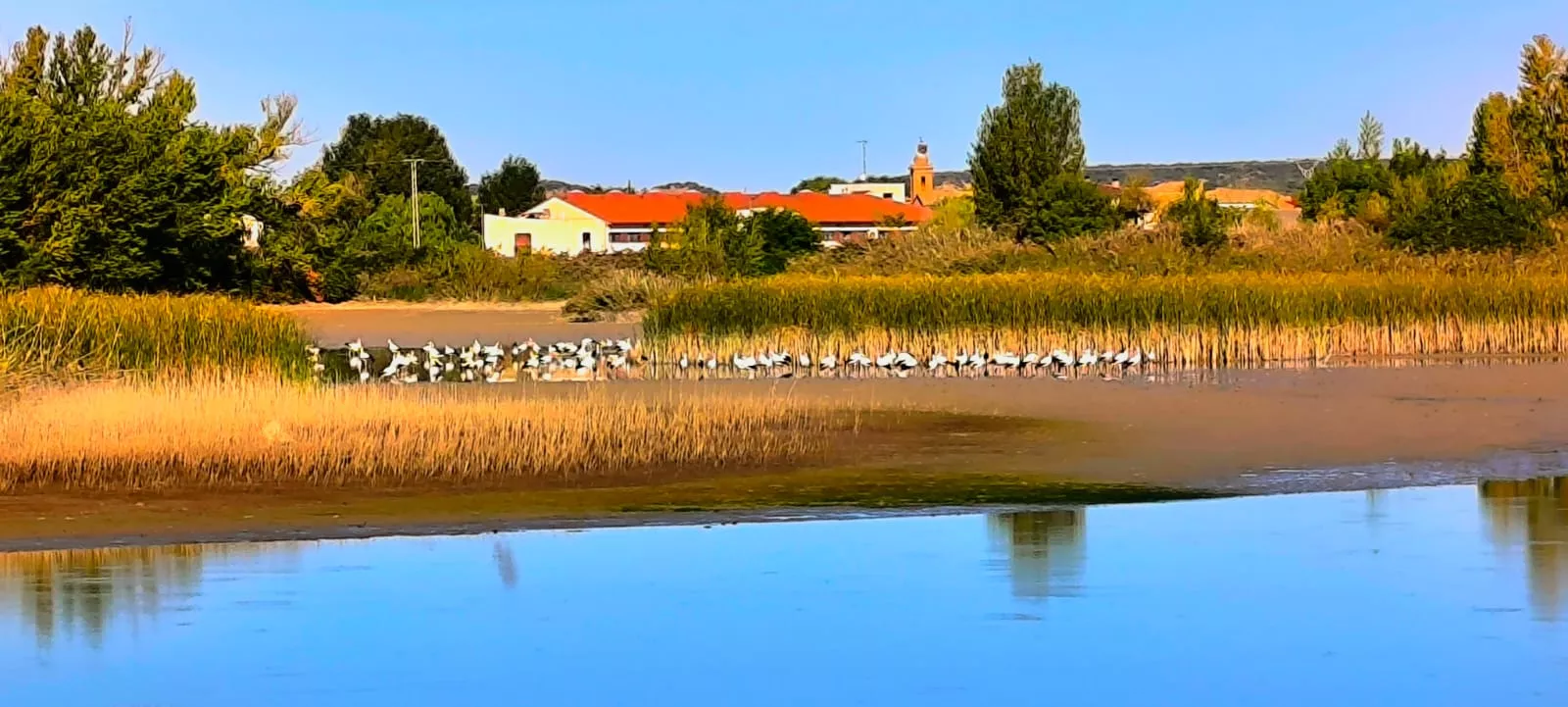 Alberca de Cortés. Foto Joaquín Santafé