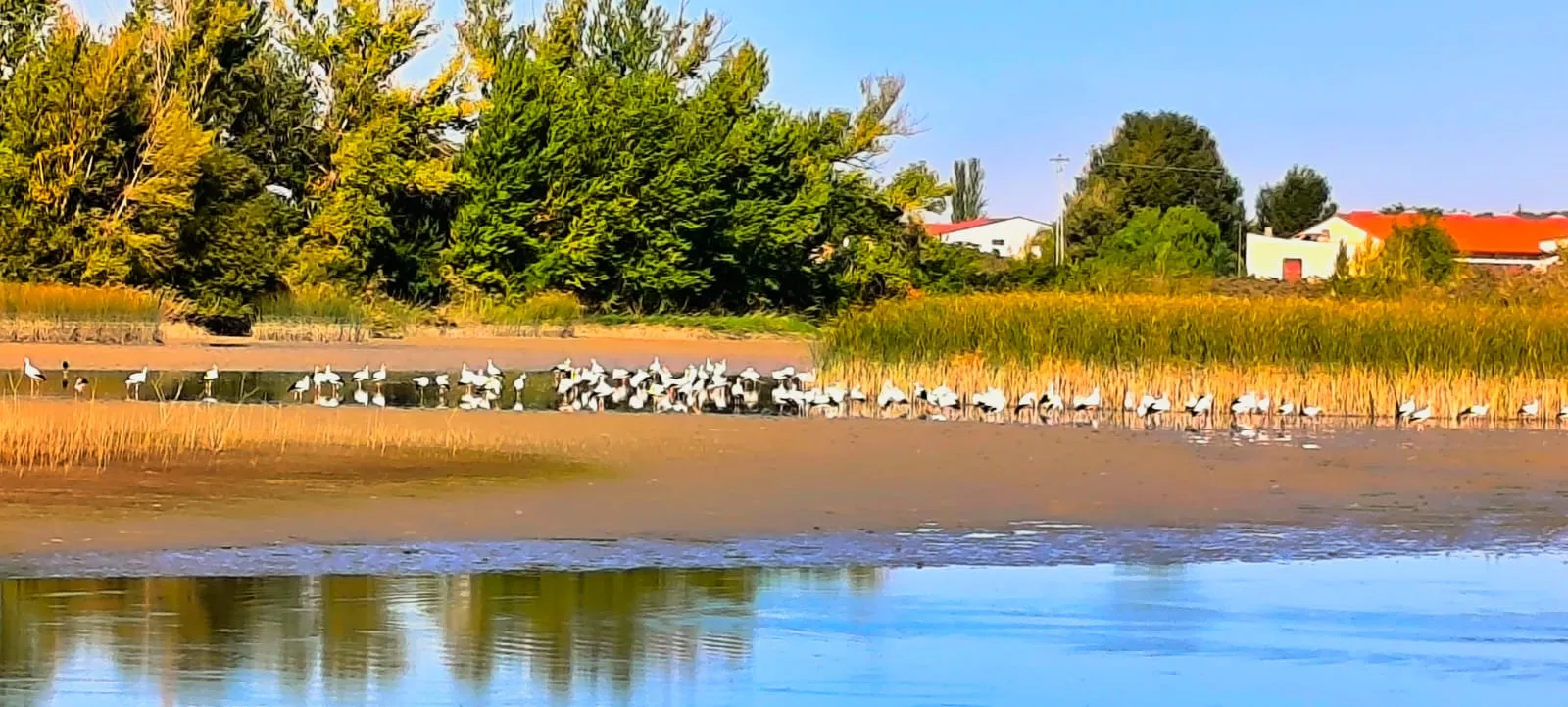 Alberca de Cortés. Foto Joaquín Santafé