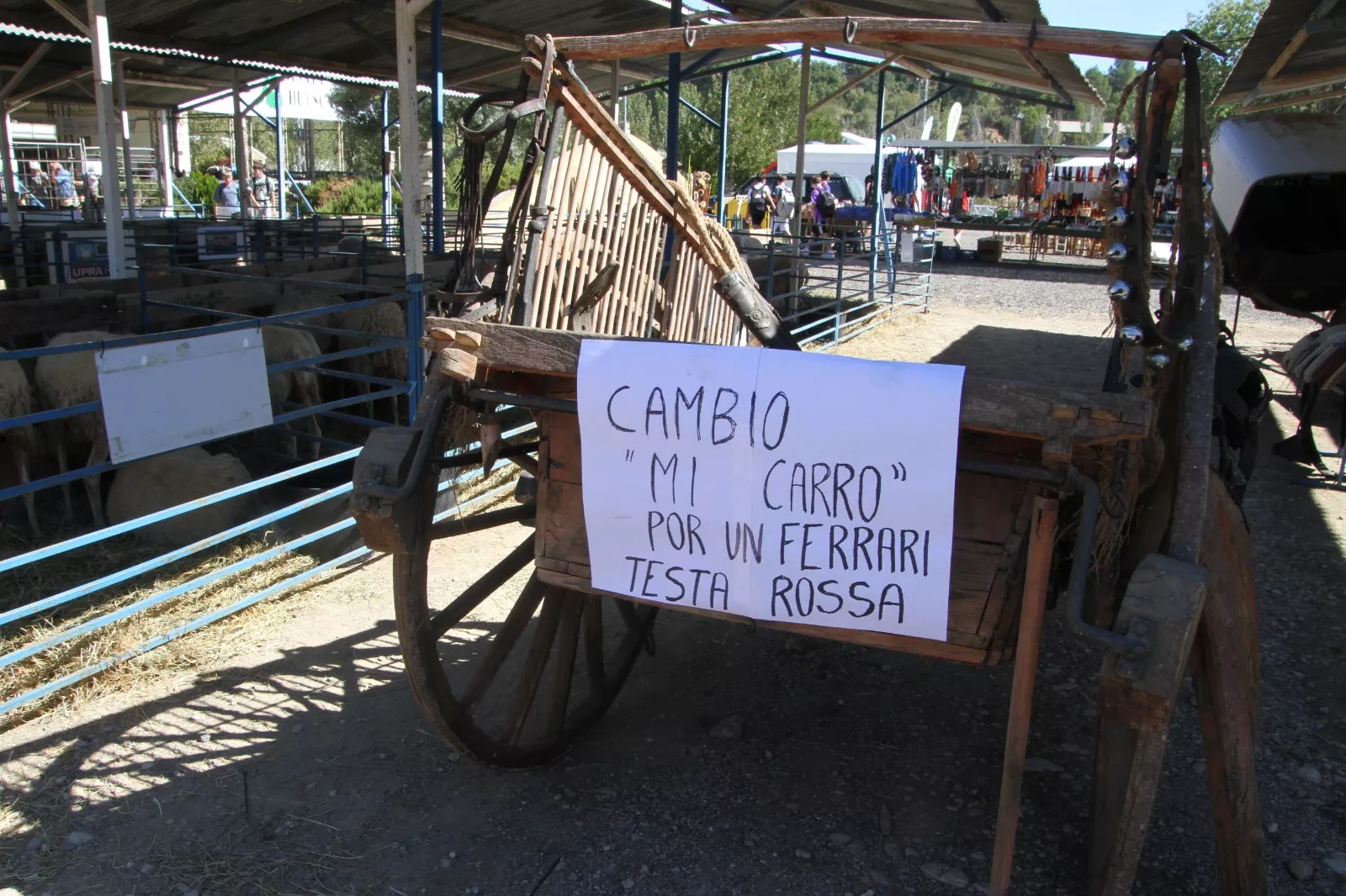 XL edición de Femoga. Foto Carlos Neofato