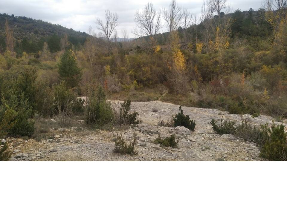 Aspecto actual del espacio que fue antigua chopera en Lecina