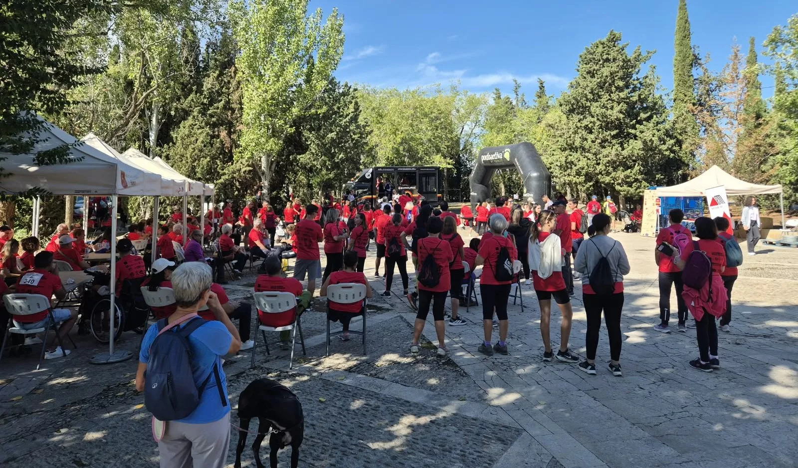 IV edición de la Marcha Solidaria de Aodem. Foto Juanlu Herrero