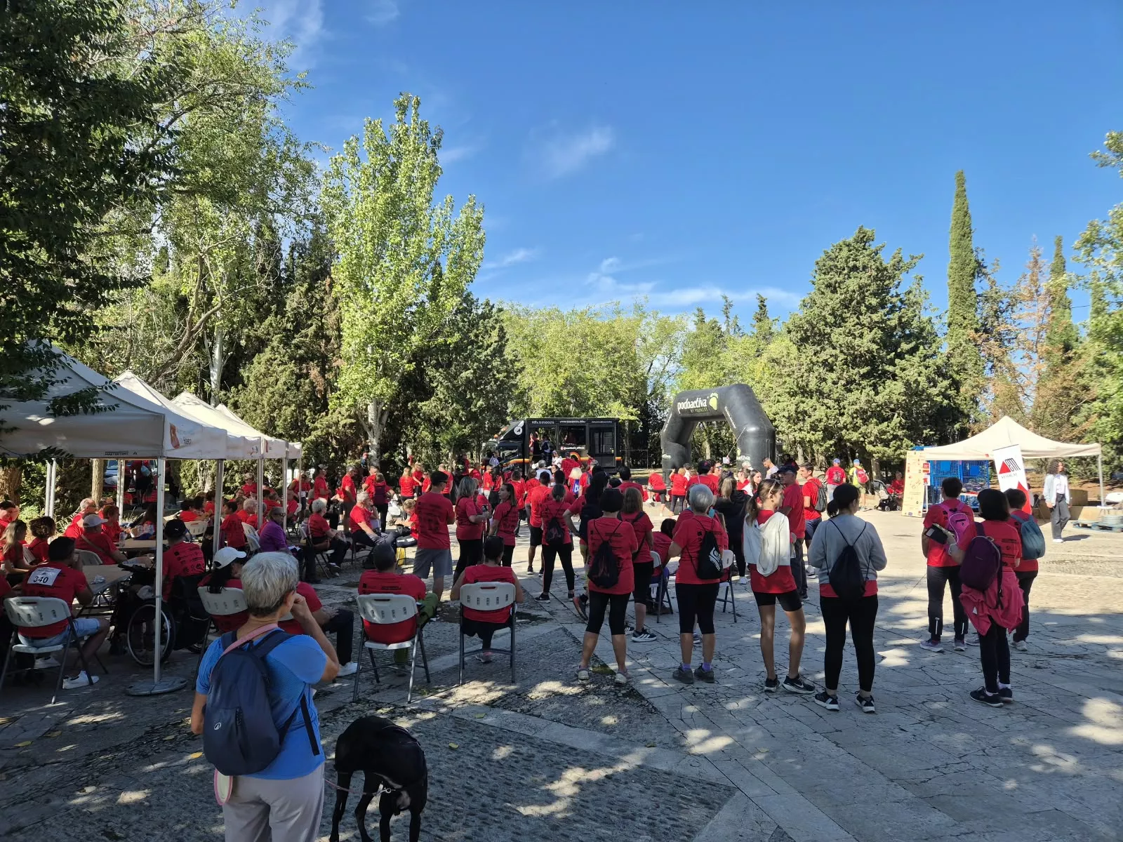 IV edición de la Marcha Solidaria de Aodem. Foto Juanlu Herrero